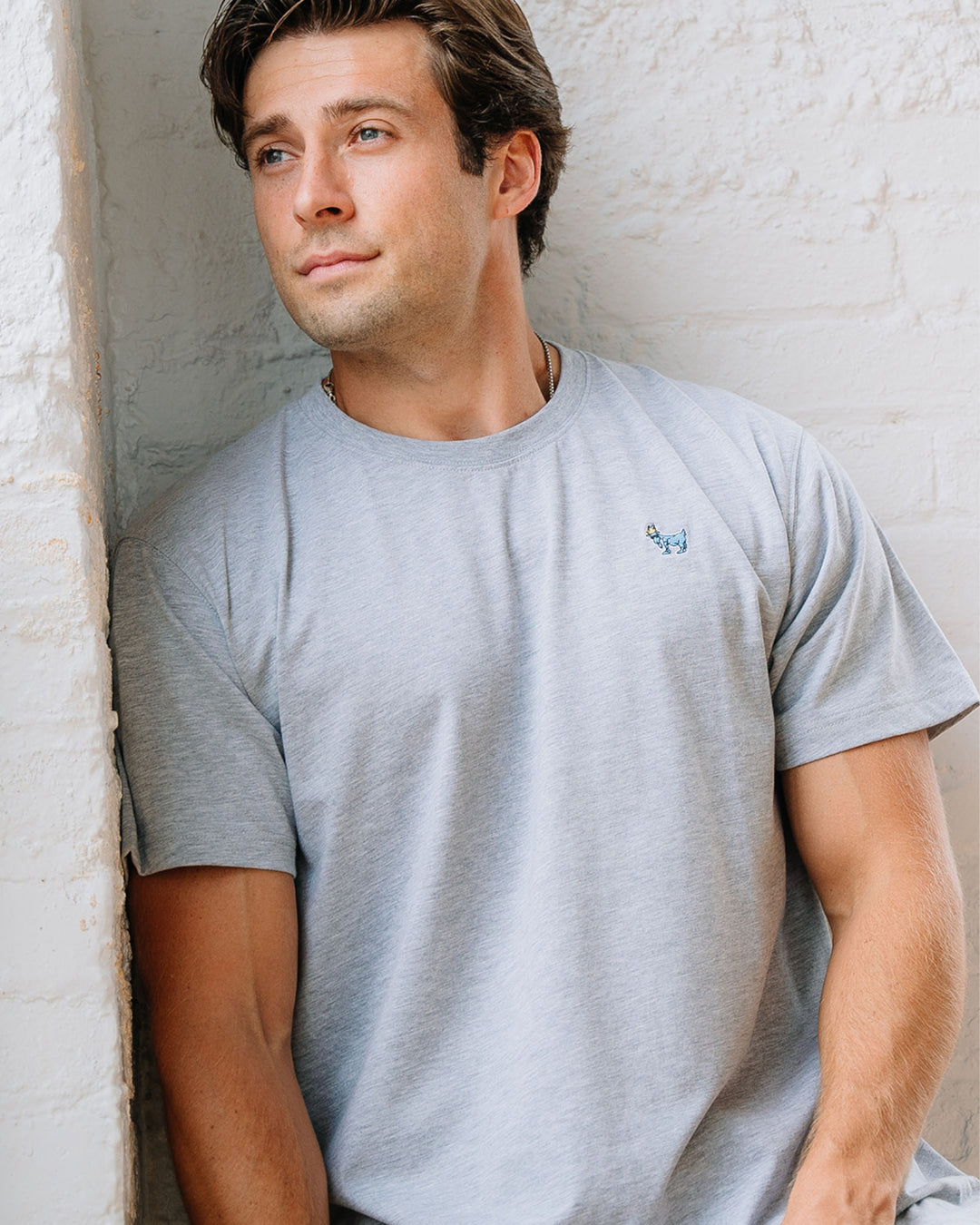 Model wearing gray OG Embroidered T-Shirt#color_gray