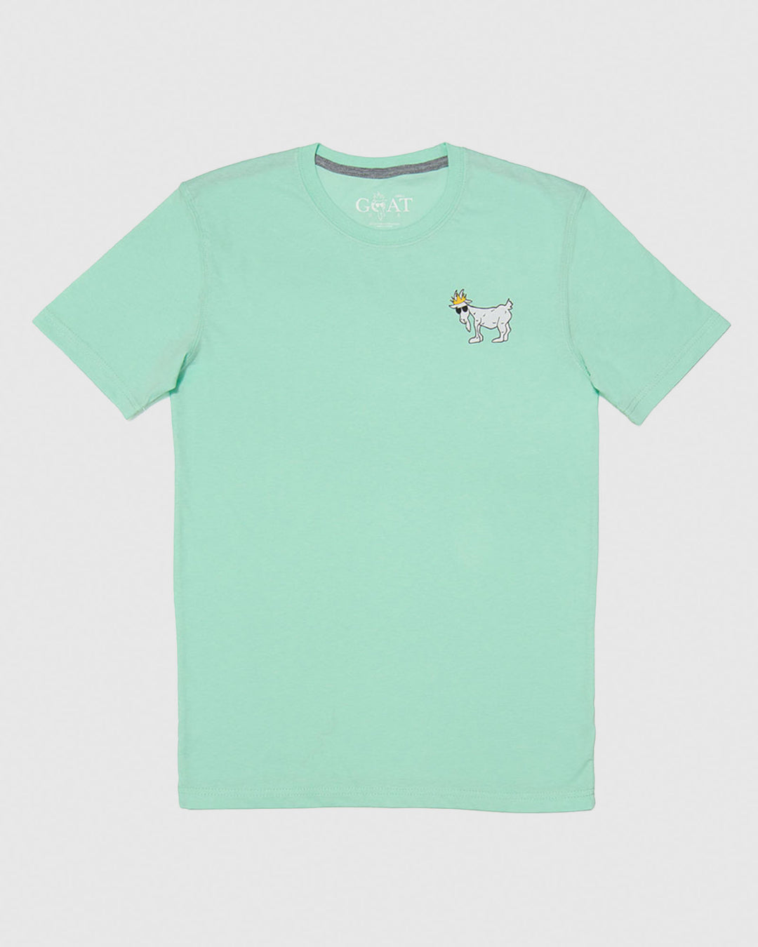 Front of mint WG T-Shirt#color_mint